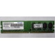 Модуль оперативной памяти 4Gb DDR2 Patriot PSD24G8002 pc-6400 (800MHz)  (Киров)