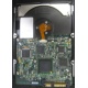 Электроника жёсткого диска 146Gb HP 481653-002 DF146BAFDU (Киров)