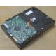 Жесткий диск HP 250Gb 7200 rpm 432337-001/ 399699-001 / 397377-004 (Киров)