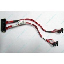 SATA-кабель для корзины HDD HP 451782-001 459190-001 для HP ML310 G5 (Киров)