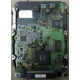 Жесткий диск 18.4Gb Quantum Atlas 10K III U160 SCSI (Киров)
