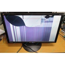 ViewSonic VA2413WM-2 разбитая матрица (Киров)