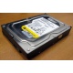 Жесткий диск 160Gb WD WD1602ABKS SATA (Киров)