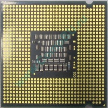 Процессор Intel Celeron Dual Core E1200 (2x1.6GHz) SLAQW socket 775 (Киров)