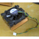 Intel C24751-002 (Киров)