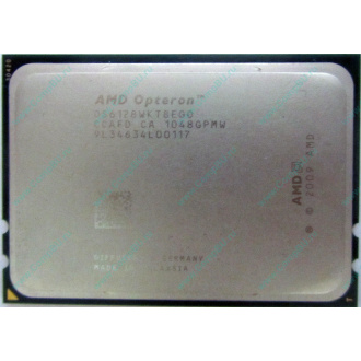 AMD Opteron 6128 OS6128WKT8EGO (Киров)